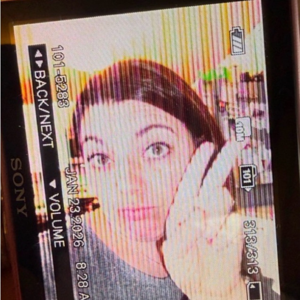 Sony Cyber-shot PINK DSC-S950 Original box manual battery charger bag PARTS ONLY - Picture 16 of 16